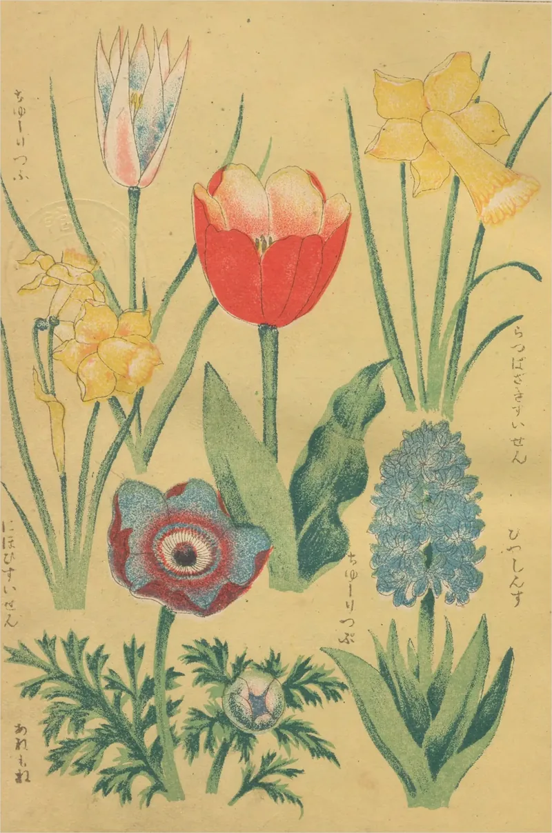 A red tulip, yellow daffodils, a blue hyacinth and an anemone stand side by side on a warm yellow ground, each labelled in katakana.